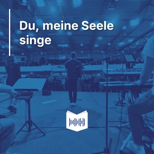 Du, meine Seele singe